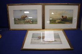 A PAIR OF WATERLCOLOURS OF SDHEEP SIGNED WAINEWRIGHT 1841 TOGETHER WITH A SIMILAR UNSIGNED EXAMPLE