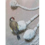 RICHARD WHITTLESTONE (XX). British school, study of a finch perched on a snowy branch, signed
