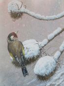 RICHARD WHITTLESTONE (XX). British school, study of a finch perched on a snowy branch, signed