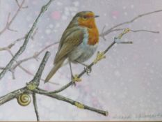 RICHARD WHITTLESTONE (XX). British school, study of a robin perched on a branch, signed lower right,