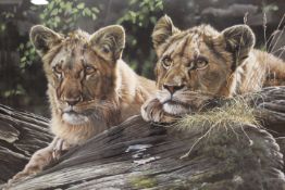 A SIGNED LIMITED EDITION PRINT BY STEVE BURGESS DEPICTING TWO LIONS