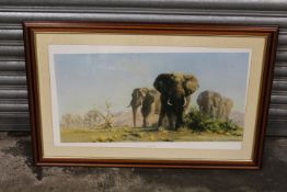 A LARGE FRAMED AN GLAZED DAVID SHEPHERD PRINT OF ELEPHANTS ENTITLED 'THE IVORY IS THEIRS' - NB NEEDS
