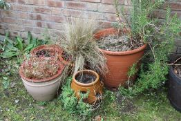 FIVE ASSORTED TERRACOTTA AND OTHER PLANTERS INCLUDING A STRAWBERRY PLANTER (5)