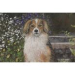 A FRAMED AND GLAZED WATERCOLOUR AND GOUACHE OF A DOG ENTITLED 'JOSHUA' BY JOAN BARNETT - DETAILS