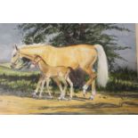 A FRAMED AND GLAZED WATERCOLOUR STUDY OF A MARE AND FOAL - SIGNED LOWER RIGHT JOAN M BARNETT 93