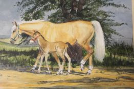 A FRAMED AND GLAZED WATERCOLOUR STUDY OF A MARE AND FOAL - SIGNED LOWER RIGHT JOAN M BARNETT 93