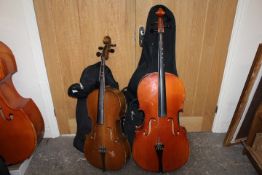 A CASED CELLO PLUS A LARGER EXAMPLE (2)