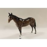 A BESWICK MODEL OF A HORSE IN BAY GLOSS FINISH