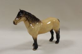 A BESWICK MODEL OF A HIGHLAND PONY HORSE MACKIONNEACH 1644 IN DUNN GLOSS COLOURWAY