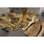 A TRAY OF ANIMAL HIDES