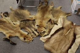 A TRAY OF ANIMAL HIDES
