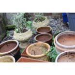 A QUANTITY OF CIRCULAR GARDEN POTS TO INCLUDE TWO WITH SHRUBS