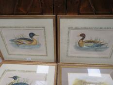 FIVE FRAMED AND GLAZED PRINTS OF BIRDS, FISH ETC