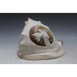 A CARVED CONCH SHELL, W 19 cm