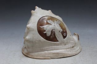 A CARVED CONCH SHELL, W 19 cm