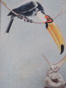 F.P. ?; An illustration of a toucan feeding its young, signed with monogram and dated 1933 lower