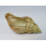 ROYAL WORCESTER BLUSH IVORY SHELL, green printed marks, L 7.5 cm