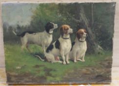 ?? DANIEL (XIX-XX). Study of three hounds in woodland setting, signed lower right, oil on canvas,