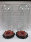 A PAIR OF TALL SLENDER GLASS DOMES WITH EBONISED BASE, overall H 56 cm, base Dia. 23 cm
