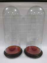 A PAIR OF TALL SLENDER GLASS DOMES WITH EBONISED BASE, overall H 56 cm, base Dia. 23 cm