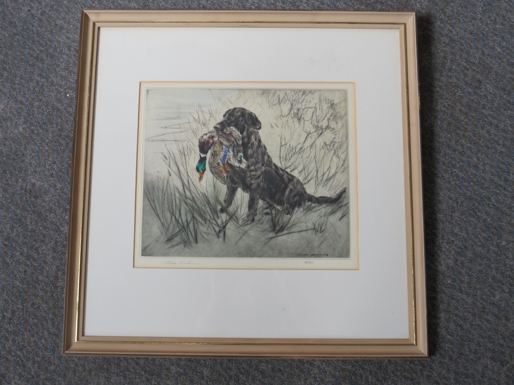 HENRY WILKINSON (1921-2011). Study of a retriever and dead game, signed in pencil lower left, - Image 3 of 3