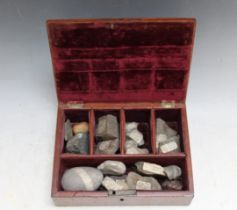 A COLLECTORS BOX OF ASSORTED LABELLED GEOLOGICAL SPECIMENS, W 19 cm