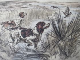 HENRY WILKINSON (1921-2011). Study of two spaniels putting up game, signed in pencil lower left,