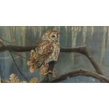 DAVID MAYER (XX). British school, study of a tawny owl perched on a branch, signed lower right,