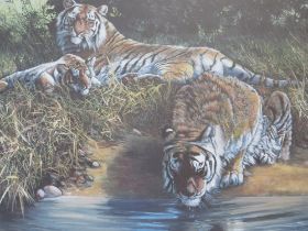 DOROTHEA BUXTON HYDE (b.1942).Study of tigers resting by a river, signed in pencil lower right,