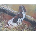 DAVID MAYER (XX). British school, study of a springer spaniel by fallen branch 'Springer Spaniel