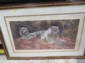 A FRAMED AND GLAZED ANTHONY GIBBS 'WHITE TIGERS EVER WATCHFUL' SIGNED PRINT