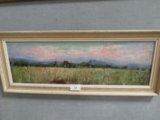 A SMALL OIL ON BOARD DEPICTING AN OPEN LANDSCAPE SIGNED FENNELL? 15.5 X 50.5 CM