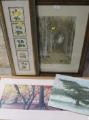 A SELECTION OF PICTURES TO INCLUDE FRAMED AND GLAZED PRINT ENTITLED NATURES CATHEDRAL BY JAMES T