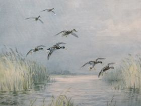 A ROLAND GREEN SIGNED PRINT ENTITLED MALLARD COMING IN TO LAND
