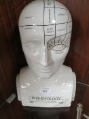 A PHRENOLOGY HEAD