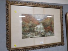 A WATERCOLOUR DEPICTING A WOODLAND RIVER SCENE SIGNED LOWER RIGHT