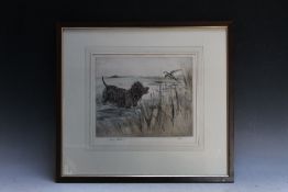 HENRY WILKINSON (1921-2011). Study of an Irish water spaniel at waters edge putting up a waterfowl,
