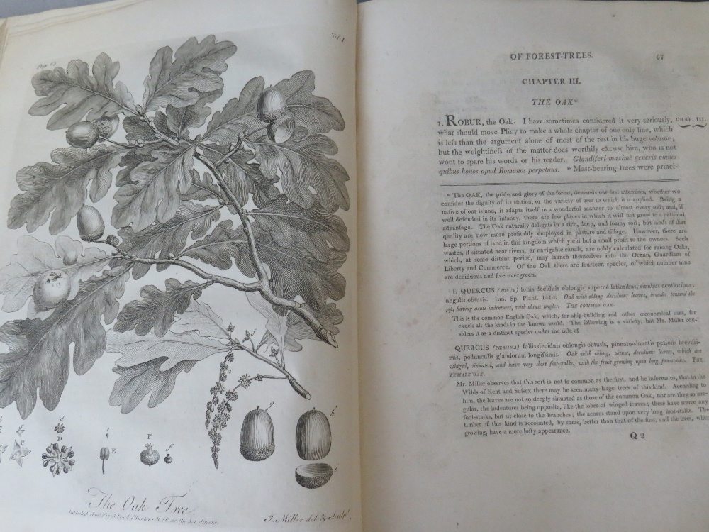 FIVE NATURAL HISTORY BOOKS - WILLIAM RHIND, 'A History of the Vegetable Kingdom' 1865, John Evelyn - - Image 4 of 10