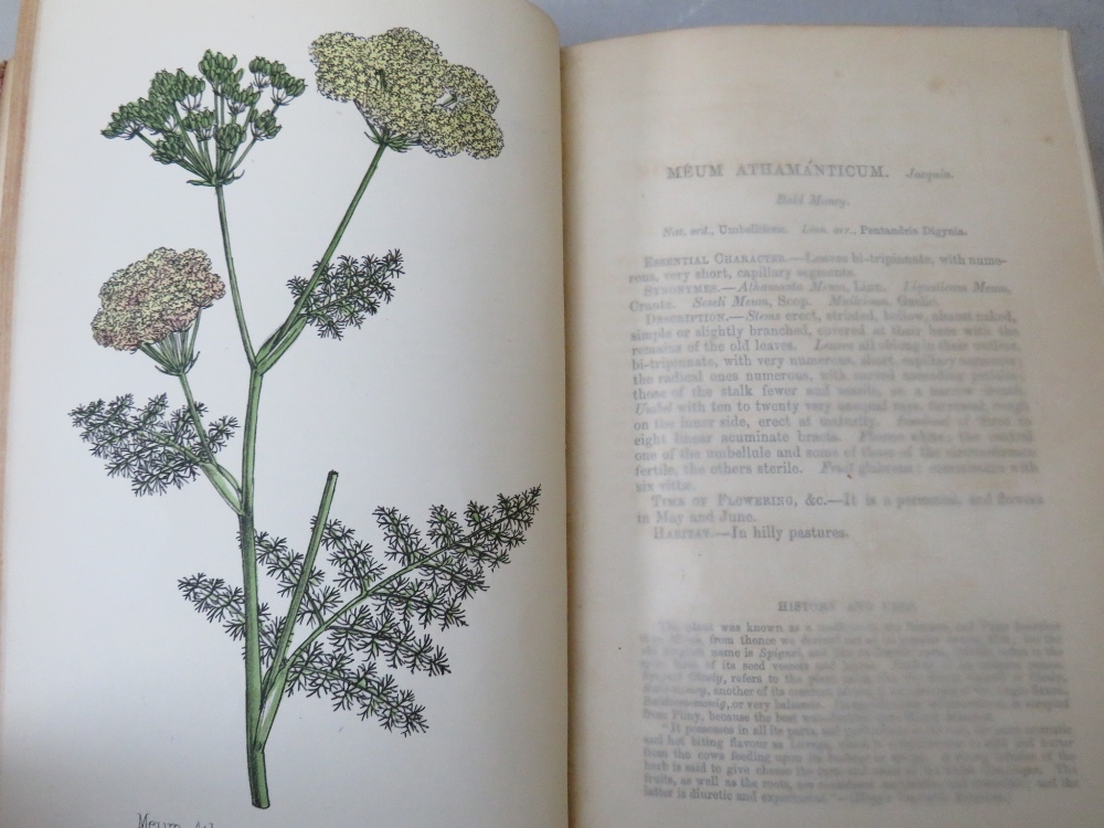 FIVE NATURAL HISTORY BOOKS - WILLIAM RHIND, 'A History of the Vegetable Kingdom' 1865, John Evelyn - - Image 10 of 10