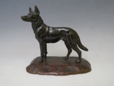 A SMALL BRONZED FIGURE OF A GERMAN SHEPHERD, on a naturalistic oval base, H 12 cm, L 13.5 cm