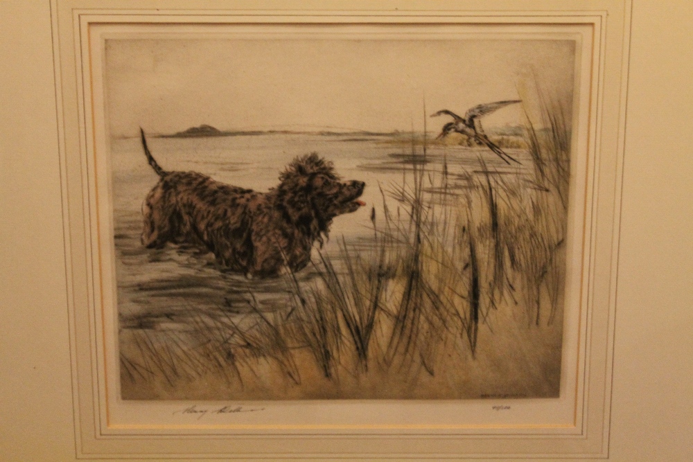 HENRY WILKINSON (1921-2011). Study of an Irish water spaniel at waters edge putting up a waterfowl, - Image 2 of 3