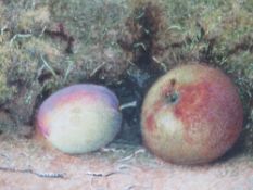 W. H. HUNT (XIX-XX). Still life study of fruit on a mossy bank, signed lower right, watercolour,
