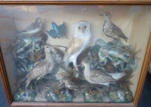 VICTORIAN TAXIDERMY - A CASED DIORAMA OF ASSORTED BIRDS, to include owl, kingfisher, etc, case 56