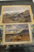 TWO UNFRAMED WATERCOLOURS OF HIGHLAND SCENES BY E. DAVIES (CABINET)