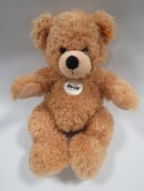 CASED STEIFF TEDDY BEAR