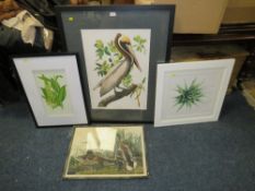 FOUR MODERN LARGE PRINTS TO INCLUDE A BROWN PELICAN