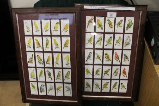 A PAIR OF WODEN FRAMED GLASS FRONTED SETS OF MOUNTED JOHN PLAYER AVIARY & BIRDS CIGARETTE CARDS,