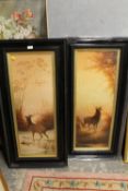 TWO TALL FRAMED AND GLAZED PRINTS OF STAGS