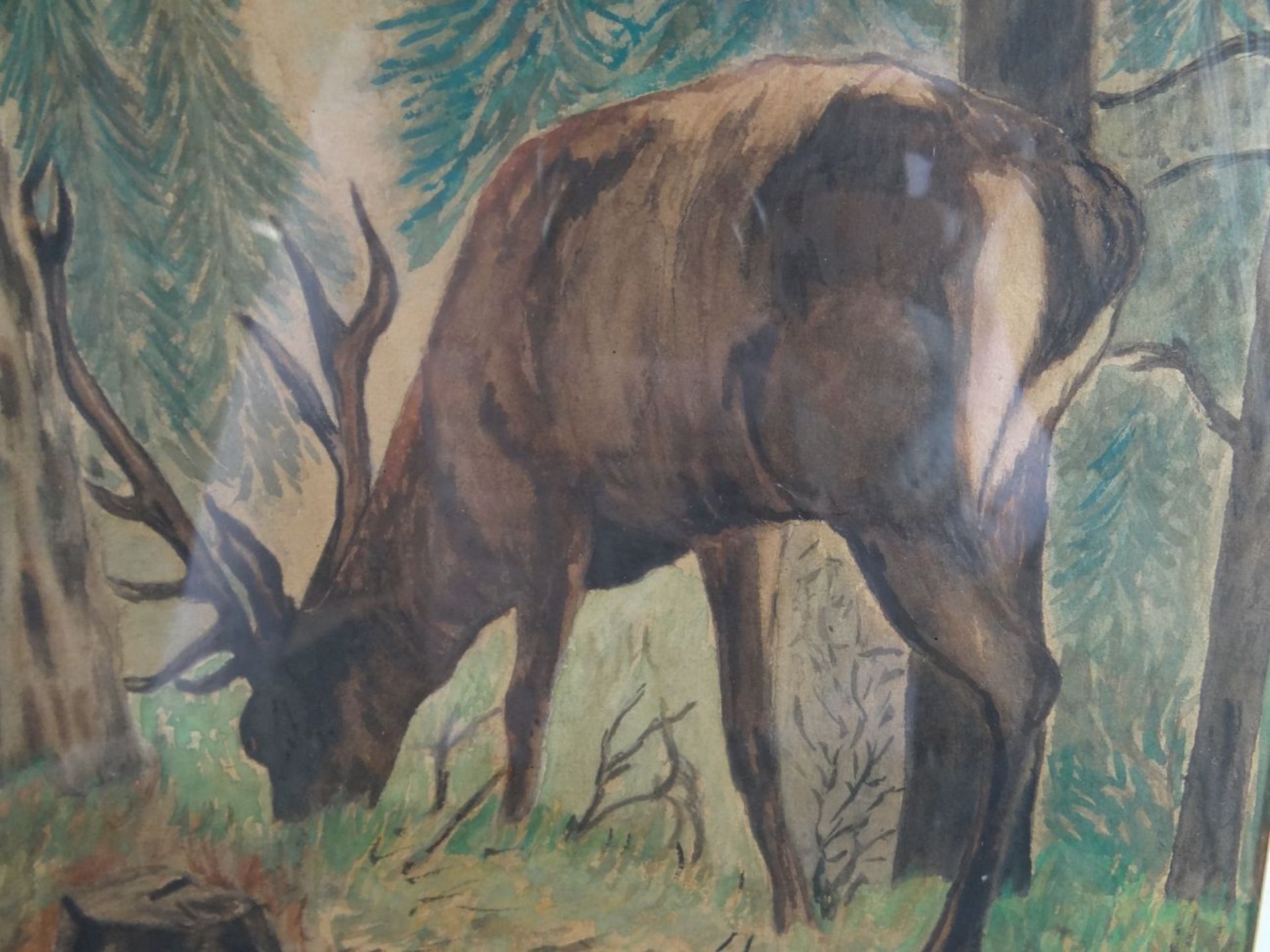 AK, 1946 "äsender Hirsch", Aquarell, ger/Glas, RG 53x41 cm - Image 3 of 4