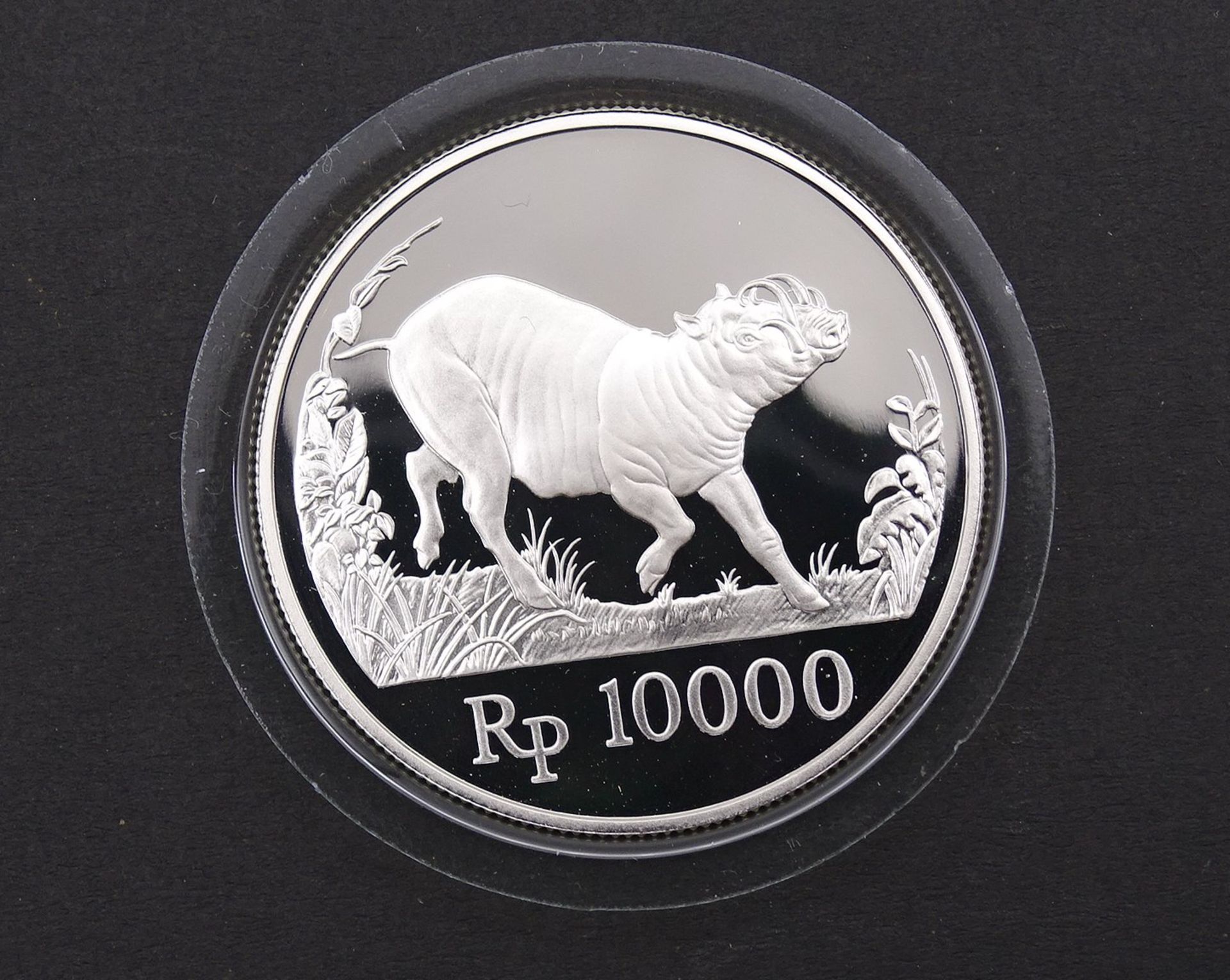 Silbermünze Rp 10000 , 1987 Bank Indonesia,19,4g. Silber 0.925, gekapselt